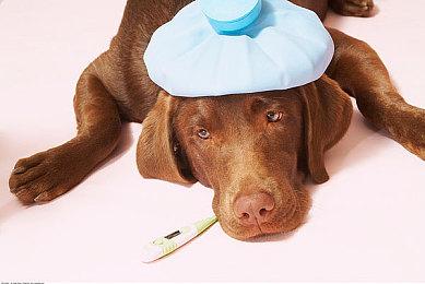 《塞尔达传说：梅祖拉的假面》2月25日加入NS高级会员游戏库